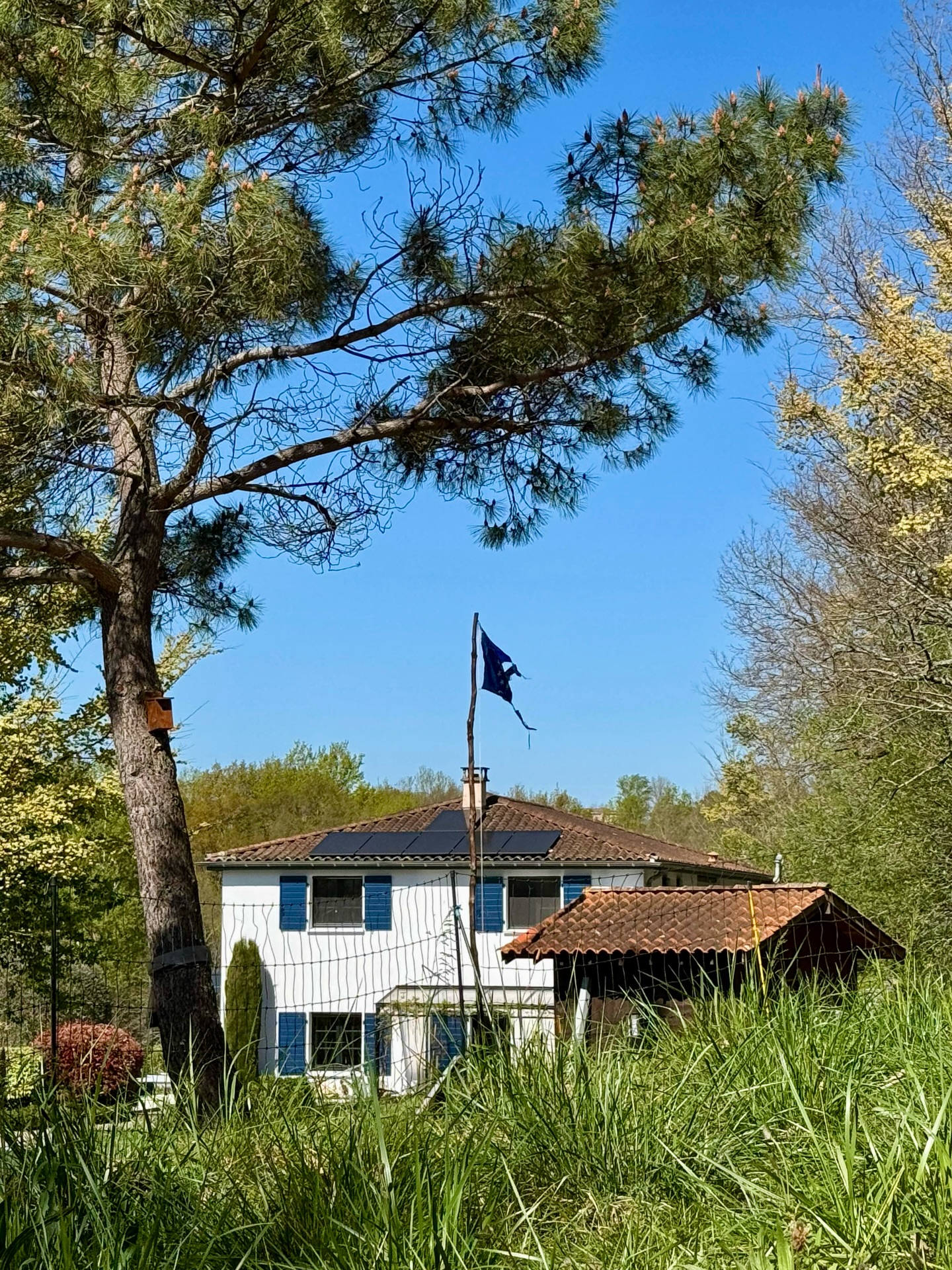 Finally a new flagpole; from our own forest. Made by @megsyme and Cliff from @workawayinfo