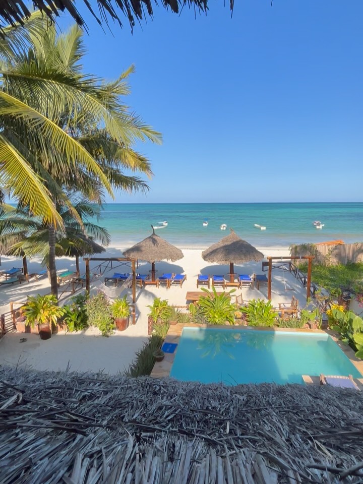 🇬🇧 Today Chiku is showing you… 👀✨
…a place at Villa Thamani you already know,
but that might surprise you again today!
Our terrace has transformed.
Same energy, same view, with something more ✨
If you’ve been here before, you probably:
🏓 played a game of ping pong
🧘♀️ took a deep breath during a yoga session
🌿 found a moment just for yourself
Now imagine it even more refined, even more welcoming, even more ours.
And this is not all…
this is just part of what we have been preparing for you 👀
Stay connected, because Villa Thamani is growing.
And it’s doing it together with you.
💎 Karibu Villa Thamani
———
🇮🇹 Oggi Chiku ci fa vedere… 👀✨
…un posto in Villa Thamani che conoscete bene,
ma che oggi vi sorprenderà di nuovo!
La nostra terrazza si è trasformata.
Stessa energia, stessa vista, ma con un tocco in più ✨
Se ci sei già stato, probabilmente qui hai:
🏓 sfidato qualcuno a ping pong
🧘♀️ respirato durante una lezione di yoga
🌿 trovato un momento tutto tuo
Adesso immaginala ancora più curata, ancora più accogliente, ancora più nostra.
E non è finita qui…
questa è solo una parte delle novità che abbiamo in serbo per voi 👀
Restate connessi, perché Villa Thamani sta crescendo.
E lo sta facendo insieme a voi.
💎 Karibu Villa Thamani