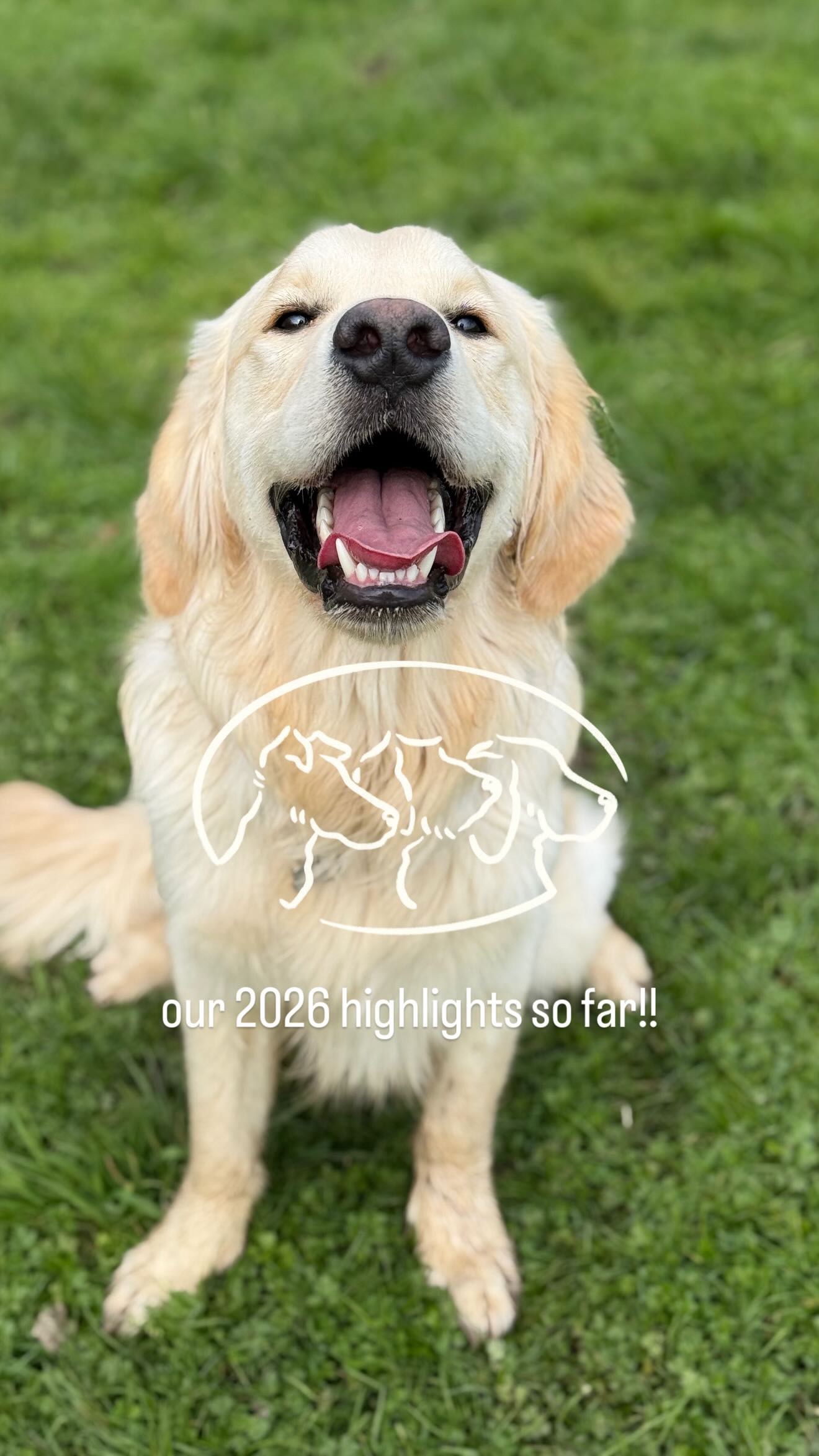 2026 started cold and brutally wet but having such wonderful company has cheered us up all the way through! Some of our early 2026 highlights… summer, we welcome you with open arms!