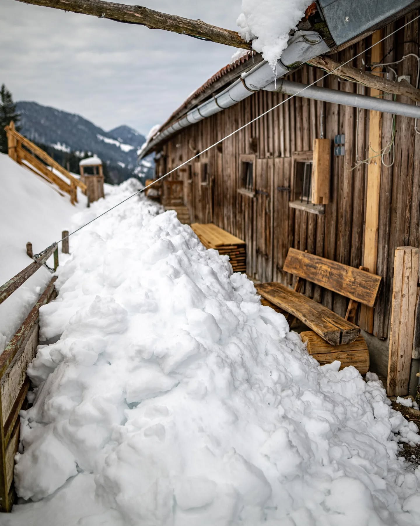 Man muss es mit Humor nehmen, alles andere nutzt nicht viel. Auch heute begann unser Alptag mit einem Fußmarsch. Aber der Weg taut langsam auf und morgen ist es auf jedenfall möglich, über den Alpweg wieder gut zu uns laufen zu können.
Ganz lieben Dank hier an Moni und Christian von unserer Nachbaralpe @s__bergle für eure angebotene Hilfe und Unterstützung 👍
Vor Herausforderungen stellt uns noch unsere knapp 1,5m hohe Dachlawine, die uns den gesamten Alpvorplatz samt Türen verschüttet hat. Aber dafür ist die Terrasse fast schneefrei und bereit für den Betrieb. Die letzten Lebensmittel samt Alp-Ausrüstung haben wir heute noch auf unserem selbstgebauten Lastenschlitten aus einer ausrangierten Regentonne zur Alpe gezogen. Ganz nach dem Motto: Die Lage ist erst dann beschissen, wenn wir uns nicht zu helfen wissen 😄
Wir freuen uns schon auf unseren Saisonstart am morgigen Karfreitag!
Euer Sonnhalde-Team