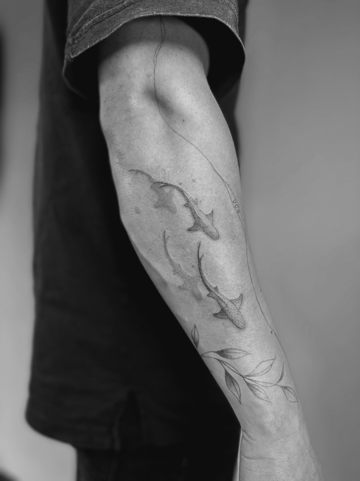 Had fun doing these swimming sharks🦈