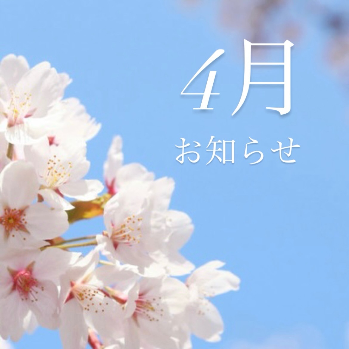 🌸4月のお知らせ🌸
ゴールデンウィーク営業のお知らせもあります😊
平日限定のおとくなパーソナル体験あり!
#パーソナルトレーニング
#ピラティス
#さくら
#ゴールデンウィーク