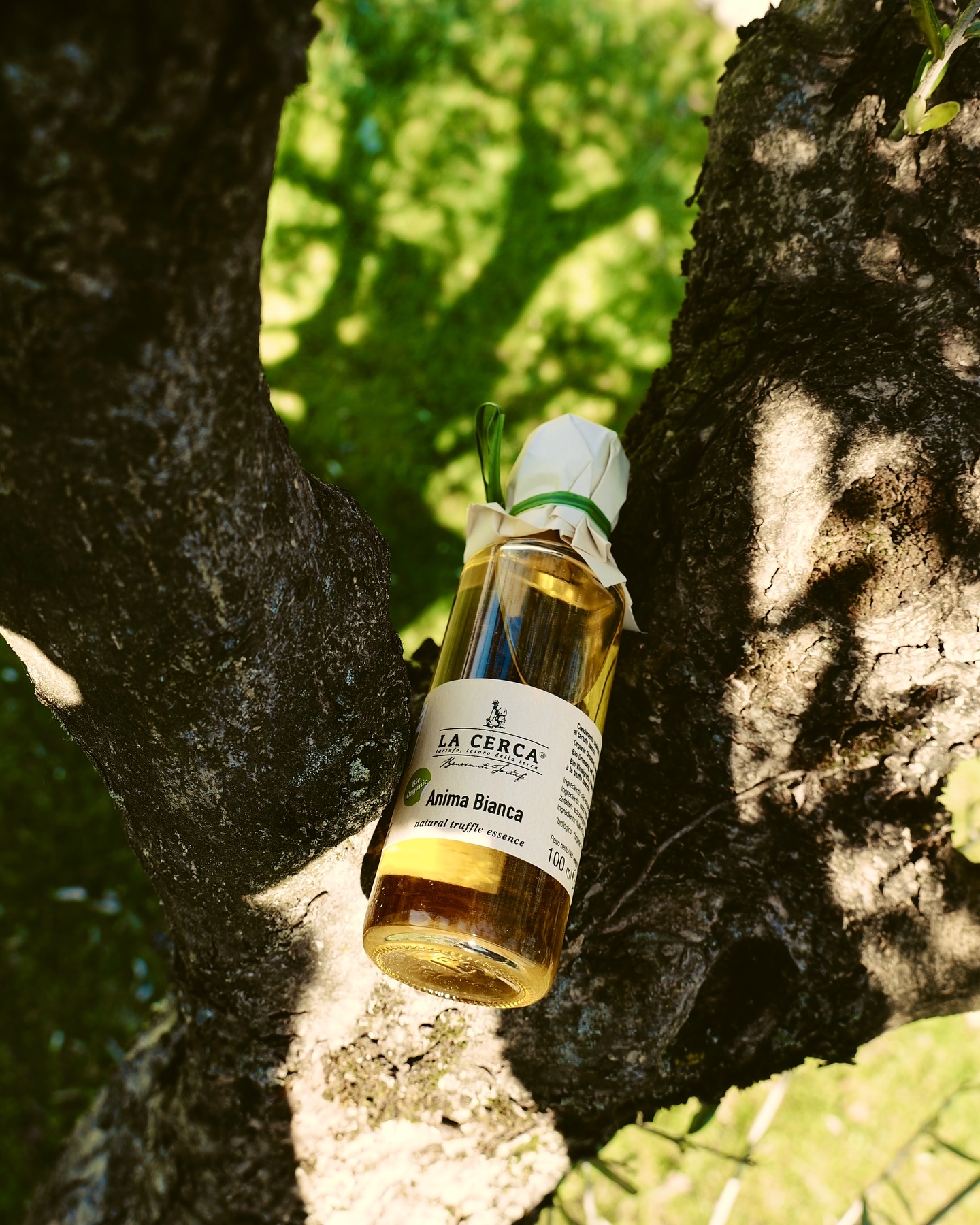 Glad påsk 🐰💐
#gladpåsk #bonalumifam #italianfood