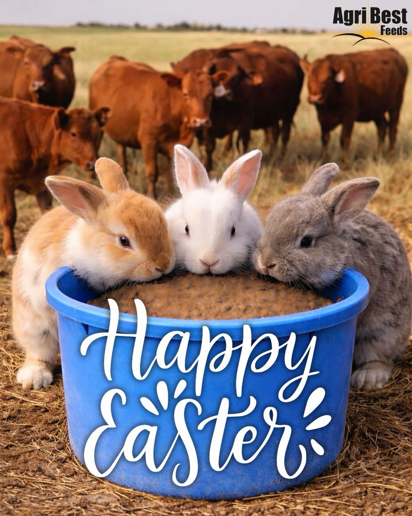 Happy Easter from AgriBest Feeds 🐣🌾
We’re proud to be your go-to for fueling farmers, ranchers, and the herds that keep it all moving. Here’s to hard work, fresh starts, and a season full of growth.
#AgriBestFeeds #HappyEaster #FarmLife #RanchLife #FuelTheHerd