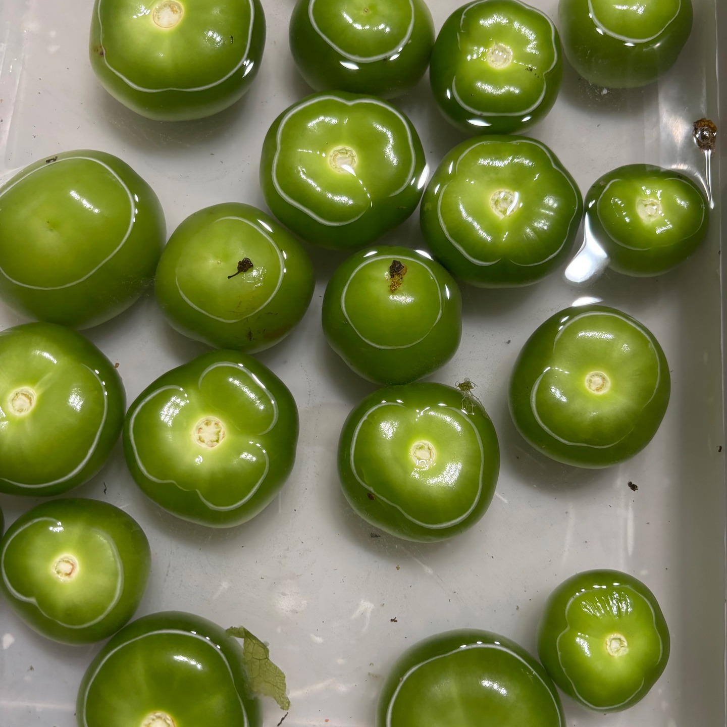 Getting ready for Chicken in Tomatillo Salsa next week.