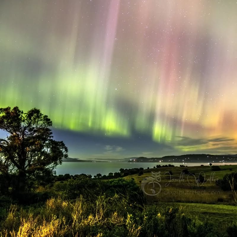 Here’s a little bit more of what the aurora looked like from Southern Tassie.
We managed to get about 10 minutes in at Opossum Bay before the clouds and fog rolled in.
I feel so privileged to have managed to catch even just a few moments of this incredible evening. I'm still in awe!
.
.
.
.
.
.
.
.
.
.
.
.
#aurora #abchobart #abcmyphoto #southernlights #nightphotography #astrophotography #longexposure #raw_skies #tasmania #discovertasmania #autumntasmania24 #raw_australia #australia__downunder #raw_australia_nz #signatureshots #snapographers #exquisitepics20_australia #raw_community #nightsky #aussiephotos #world_photography_page #passion_4_living_photos #raw_community_member #instatasmania #mint_shotz #freshbreezeclub #amazingtasmania #hey_ihadtosnapthat2