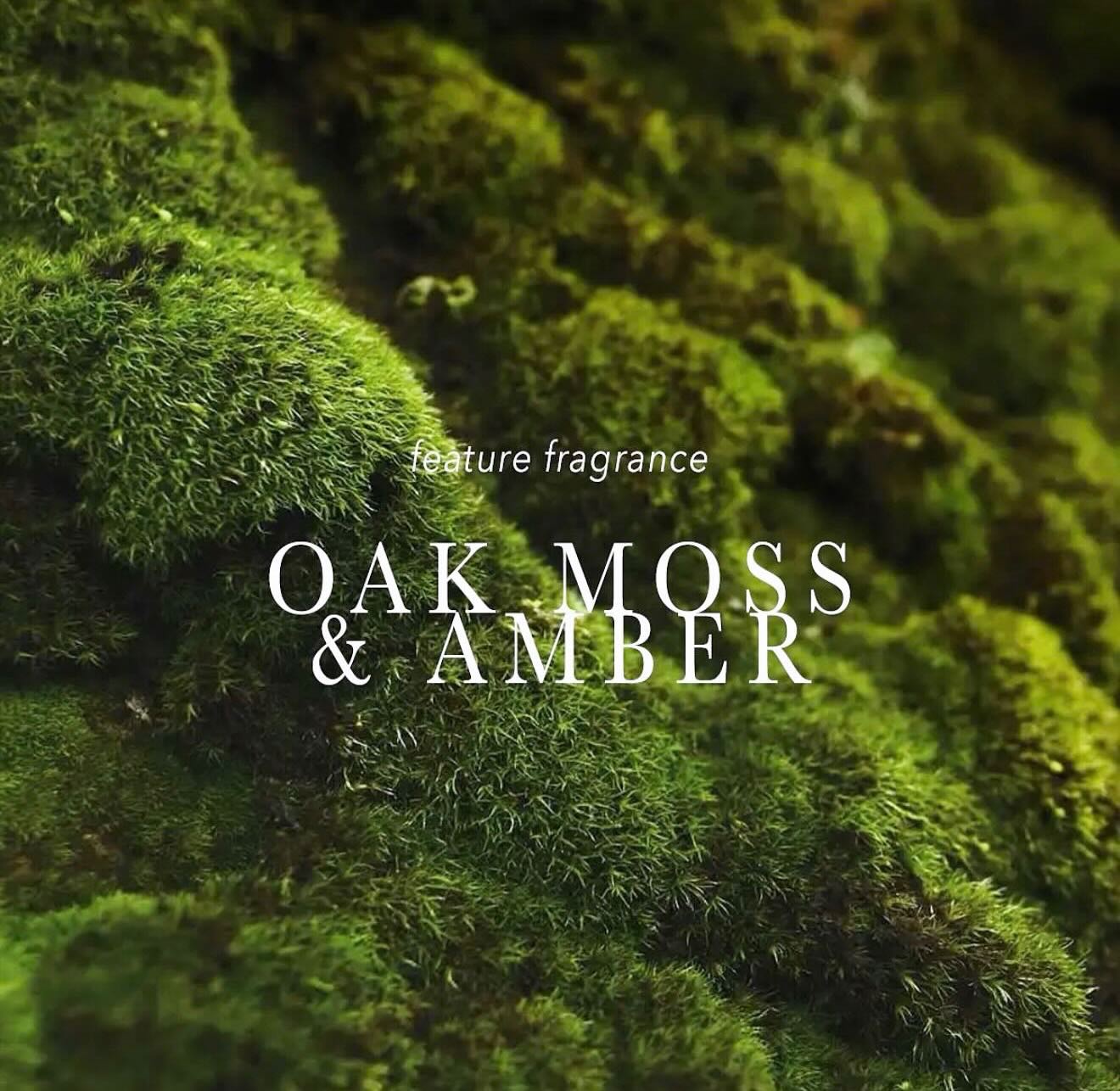 Earthy. Warm. Timeless. 🌿✨
Our Oakmoss & Amber fragrance is where nature meets luxury ….deep green moss layered with rich amber for a scent that’s both grounding and elevated.