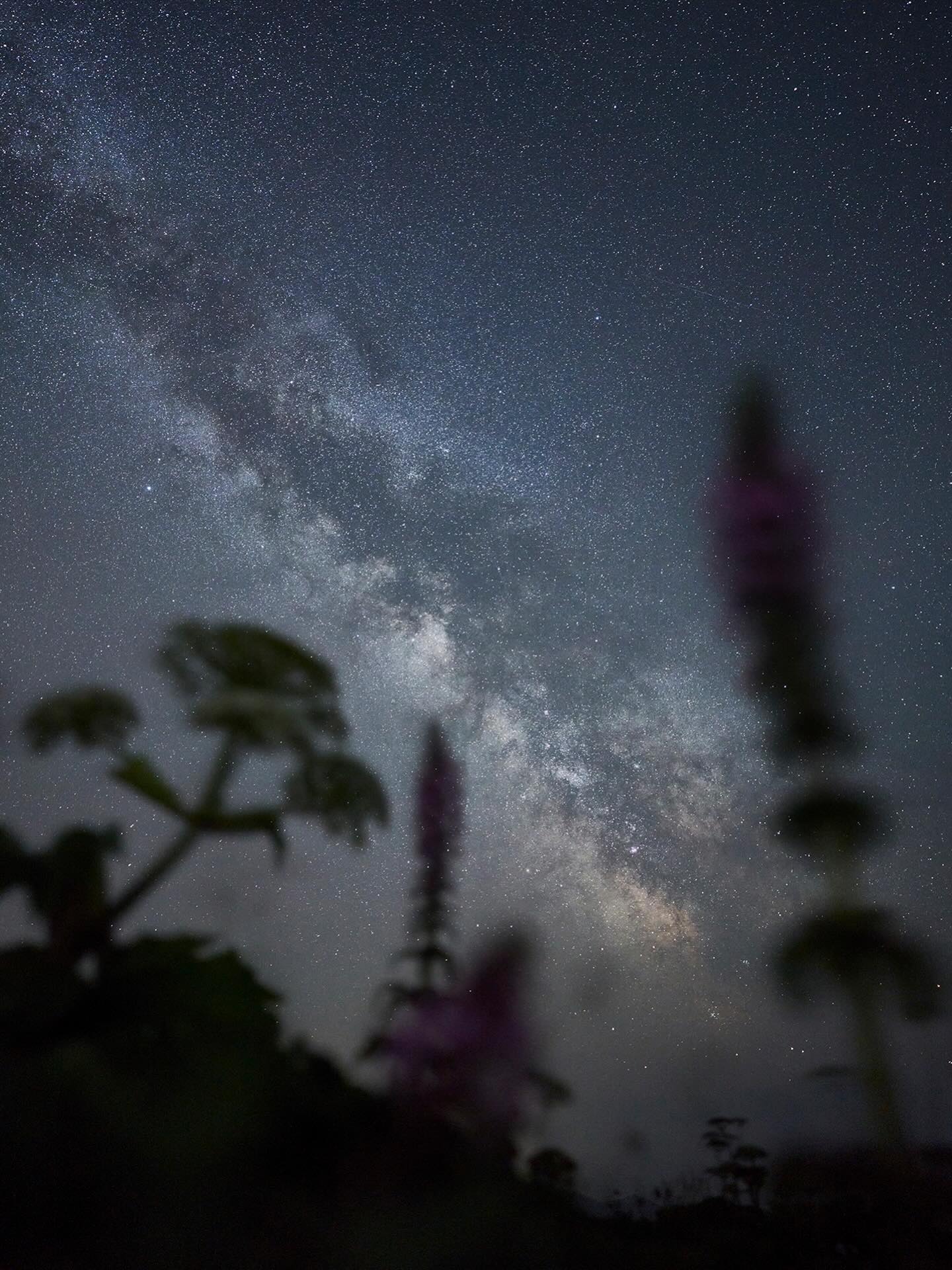 本気モードで星空鑑賞区作りに没頭しながらも、星が凄い見える島を広めたいので今年は礼文島で撮影ツアーがたくさんある…かも。決まり次第、告知します^_^