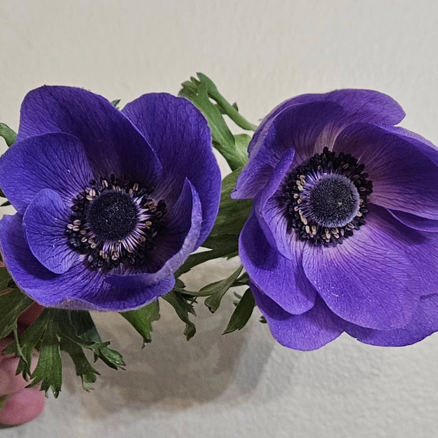 I need one of you to blink. Please. This is getting awkward.