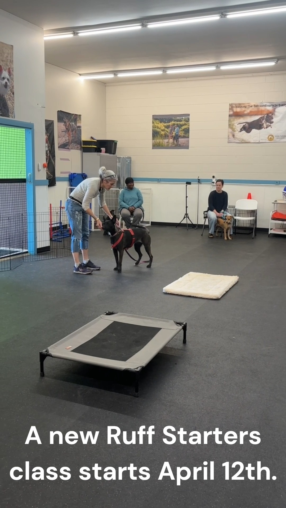 Our basic obedience class, Ruff Starters, will give you and your pup the knowledge, confidence, and practice you need to communicate effectively and master essential skills. Create a deeper bond founded on trust and understanding, and experience the tranquility of a dog who listens and responds to you appropriately!
๐๐ญ๐๐ซ๐ญ ๐๐๐ญ๐: April 12th
๐๐๐ก๐๐๐ฎ๐ฅ๐: Sundays @ 1:30 PM to 2:30 PM
๐๐ฎ๐ซ๐๐ญ๐ข๐จ๐ง: Seven weeks
๐๐ค๐ข๐ฅ๐ฅ ๐๐๐ฏ๐๐ฅ: Beginner
๐๐จ๐ฌ๐ญ: $300 per dog
Sign up on our online portal, which you can access via our LinkTree.
We can't wait to welcome you to the Ruff Life pack!