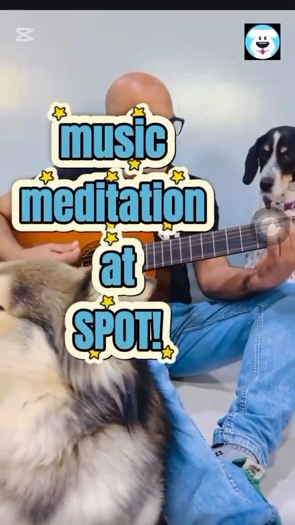 A customer came by in the afternoon yesterday and heard 0 noise and said to us “you guys must not have many dogs in today no?” 😵💫
Nah, that’s just Namal doing his 3pm meditation 🩵🧘♂️
Just a regular day at SPOT!
#dogdaycarelife #dogdaycare #dubaidogs #dubai