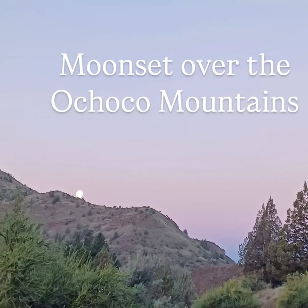 Pays to wake up early, every time. #getoutside #wheresyourwild