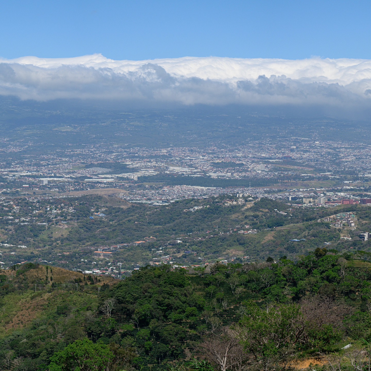 La vista panorámica desde @eolicos_camping . La imagen original es de 28.400 x 5.700 px.
#landscapephotography #landscapepanorama #panoramic #panoramicview #panoramica #nikon #nikonshooter #camping #ovelanding #costaricaoffroad #costarica #outdoor
