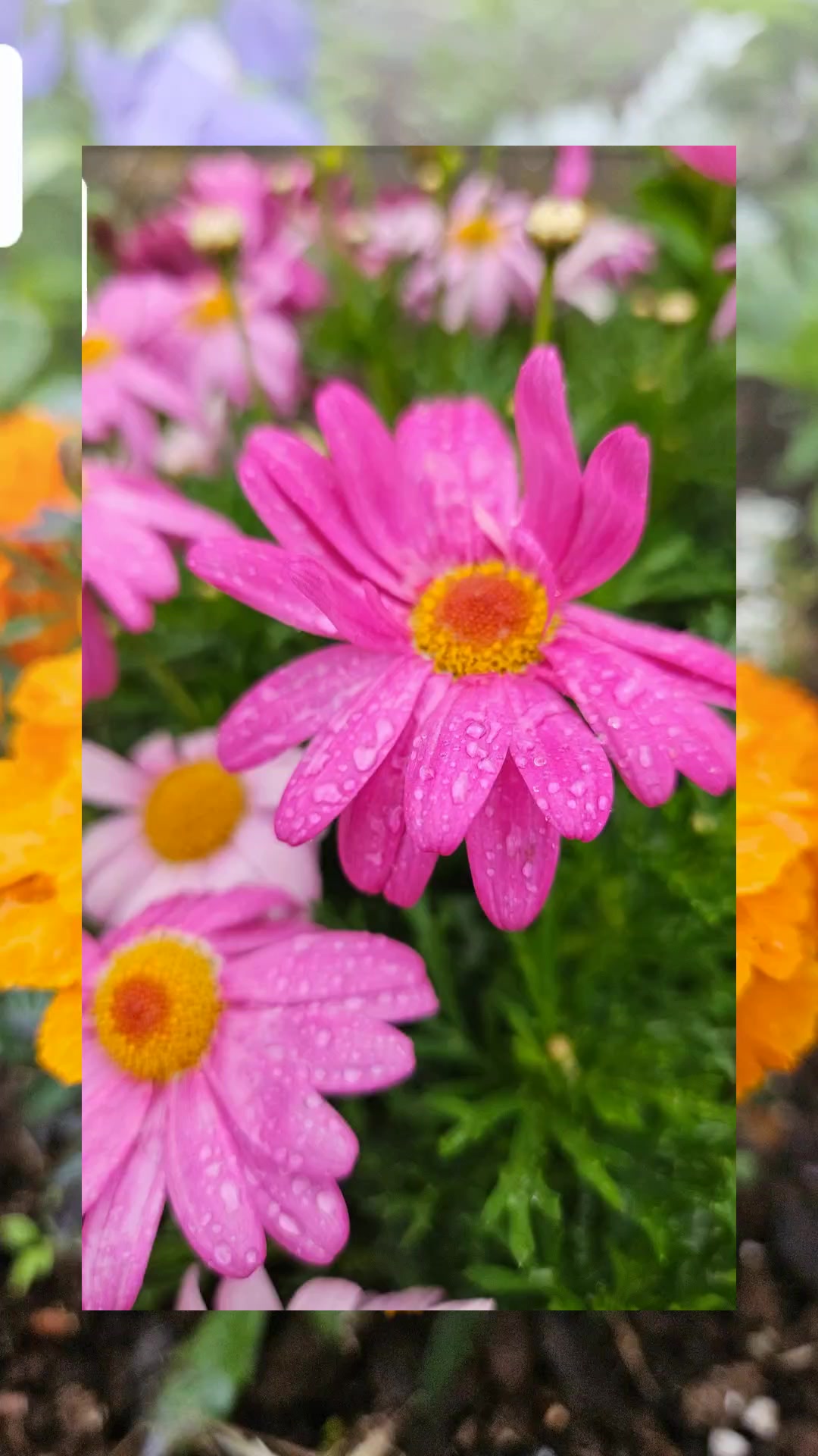 Hveragerði is a little slice of serenity tucked into Iceland’s stunning landscapes. Staying here feels like pressing pause on the world—fresh air, gentle geothermal steam rising from the ground, and a calm that settles deep into your bones. The town itself is welcoming, with thoughtful services that make every visit easy and relaxing, from cozy cafés to well-organized tours. Whether you’re wandering the geothermal park, soaking in hot springs, or exploring local trails, there’s a sense of harmony everywhere. The activities are engaging but never rushed, letting you truly savor the beauty around you. It’s the kind of place where you leave feeling refreshed, grounded, and quietly enchanted.
See you in Hveragerði!
#VisitHveragerði #VisitIceland #travel #Iceland #DiscoverHveragerði #ExploreIceland #IcelandicMagic