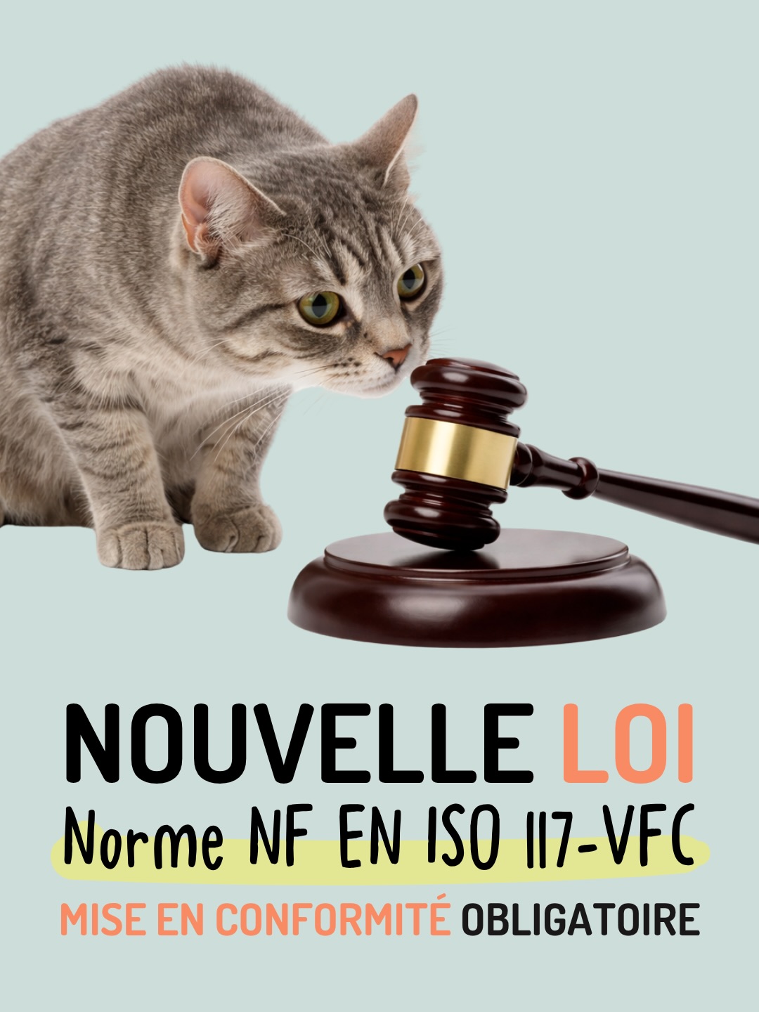Il me semblait important de vous faire part de cette nouvelle rĂšglementation, sur laquelle peu de sources officielles ont pour lâinstant communiquĂ©.
PlĂ©biscitĂ© depuis longtemps par un regroupement de victimes de ces incidents en recrudescence ces derniĂšres annĂ©es (Source : SantĂ© publique France â DonnĂ©es 2025, Accidents de la vie courante), et soutenu par les services publics, ce nouvel arrĂȘtĂ© vient enfin dâĂȘtre publiĂ© au Journal Officiel. đ
Personnellement, je trouve que câest une bonne initiative, parce quâil est vrai que ce type de dĂ©pĂŽts peut occasionner de nombreuses gĂȘnes : risques de chute, incidents chaussettaux inopinĂ©s, parcours dâĂ©vitement improvisĂ©s en pleine nuit, nettoyage dâurgence avant lâarrivĂ©e des invitĂ©sâŠ
Autant de situations qui peuvent vite peser sur le quotidien, et parfois mĂȘme crĂ©er des tensions au sein du foyer.
Bref, je pense que ça valait bien une rĂšglementation officielle ! đž
- - - - - -
đŹ Et toi, tâen penses quoi, bonne ou mauvaise idĂ©e ?
đ§Š As-tu dĂ©jĂ Ă©tĂ© victime dâun incident chaussettal ?
â Et question bonus : qui a devinĂ© ce que signifie « VFC » ? đ€
#incidentchaussettalđ #vivreavecunchat #humourchat