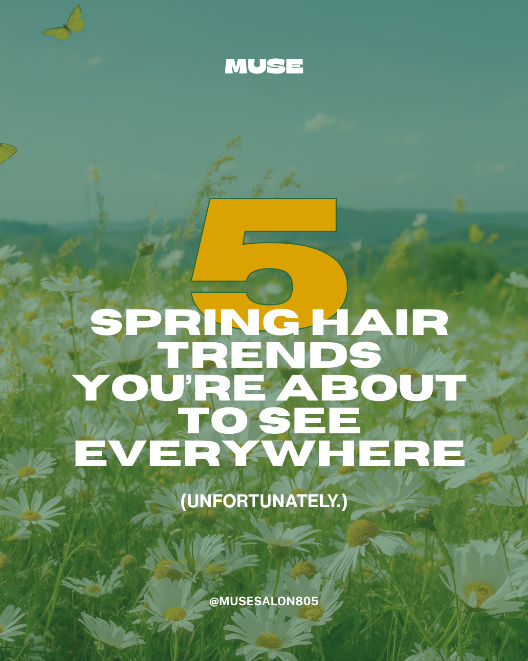 Spring trends are getting a little out of hand… and by a little, we mean fully unhinged.
From buzzed bangs to top ramen curls, we rounded up the most horrifying “spring hair trends” we could dream up for April Fool’s.
Tell us the truth: which one is the absolute worst?
Drop your vote in the comments below.
And if you’re ready for a real spring glow-up, you know where to find us.