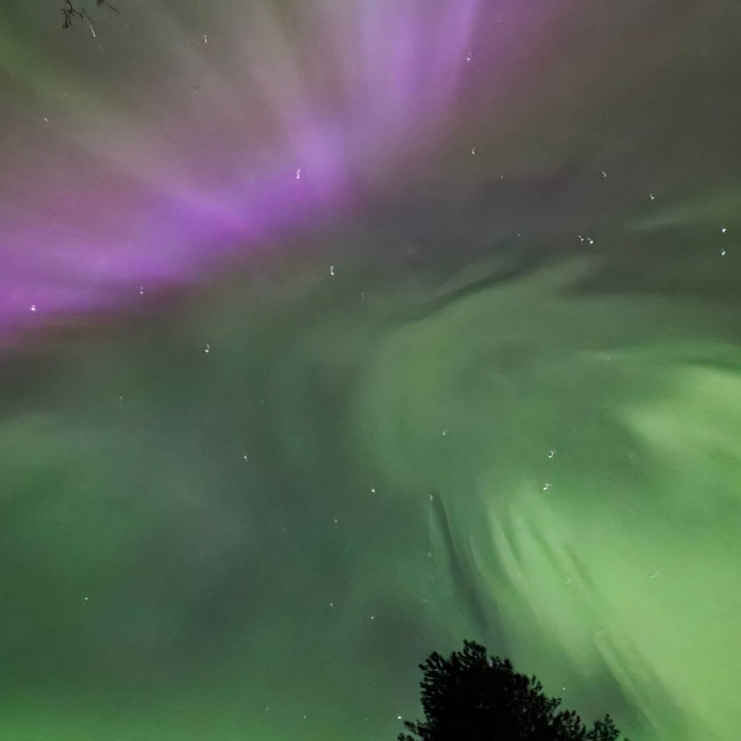 Aurora season in the North is slowly coming to an end. Soon the nights will be so bright that we won’t even see the stars anymore. ✨
Our last Northern Lights tour of the season was simply magical. Around midnight the sky switched on — and suddenly it was filled with dancing auroras, moving across the whole horizon like living light. Moments like this remind us why we love guiding in the northern night.
Soon the season of the midnight sun begins, but the memory of nights like this will stay with us for a long time.
See you again under the northern sky.
— MyTrail Stargazers
#mytrailfinland #northernlights #auroraborealis #laplandmagic #arcticnight