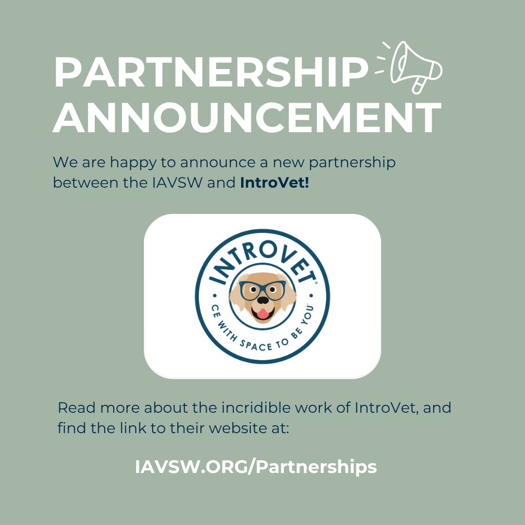 We’re excited to share a new partnership between IAVSW and @introvetce ! 🎉
IntroVet offers RACE-approved continuing education designed intentionally for veterinary professionals who thrive in quieter, more thoughtful learning environments—where every participant is acknowledged and every question has space to be explored.💙🐾
Learn more about this partnership—and explore IntroVet’s work—by visiting:
iavsw.org/partnerships