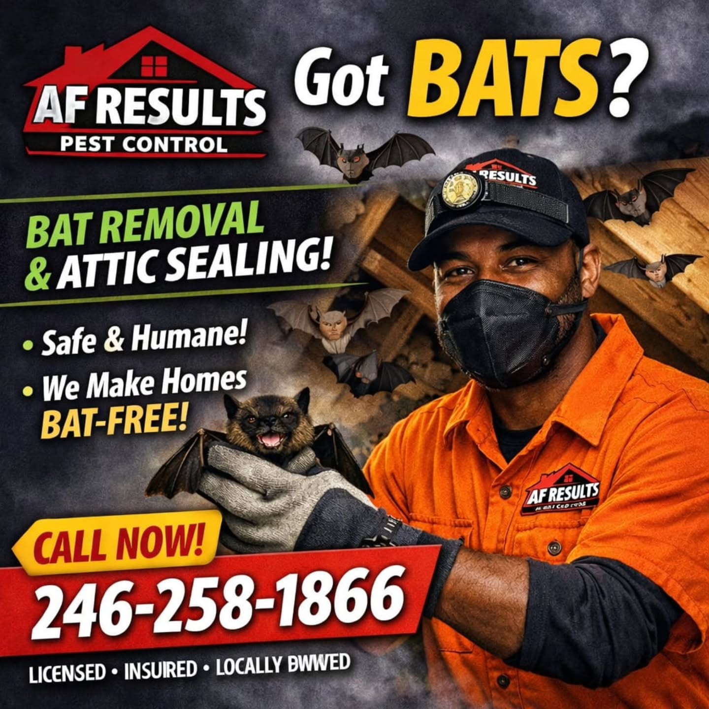 #bat #bats #afresults #pestcontrol #Barbados