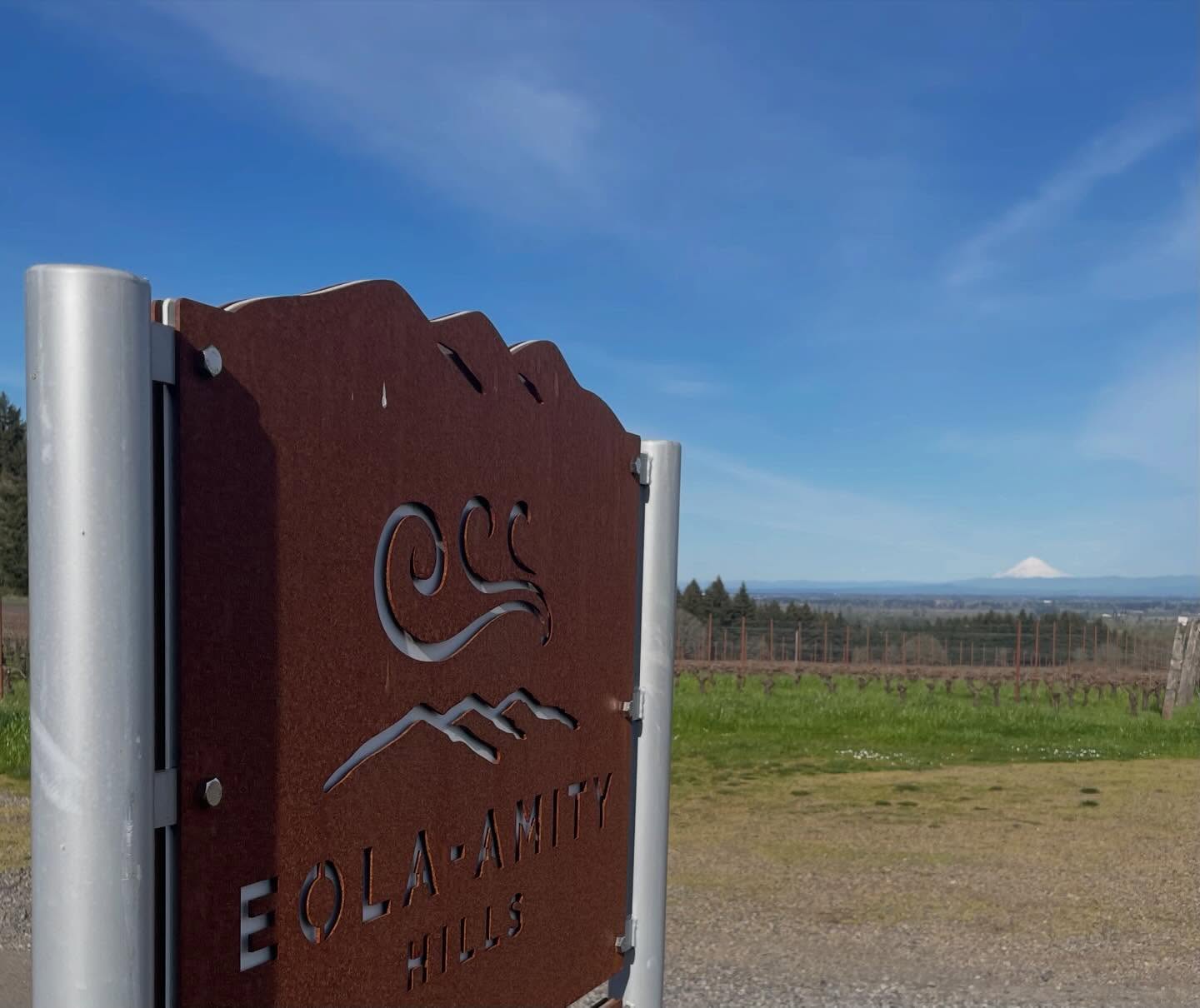 Wine with a view 🍷 🏔️