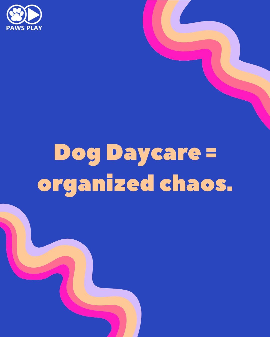 If it looks like chaos… you’re only seeing the surface.
What’s actually happening?
Decision making.
Self regulation.
Real life social skills.
This is what a well run pack looks like.
Follow me for real life insight on managing a structured, balanced pack. #pawsplayhouse #pawsplaywalk #tacomawa