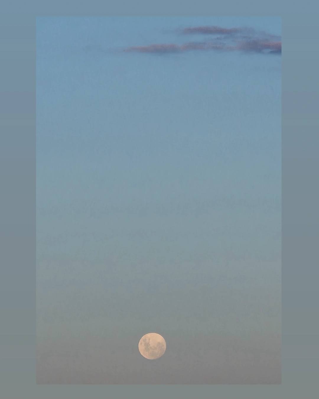 So grateful to call this place home and found & made so many beautiful friends & family within this amazing community here.
It was not what I expected at all. It was not the plan - not that I really had one.
8 years ago I sold my house & gave away pretty much everything I owned.
Everyone said I was crazy (they were right).
I moved here, to a little town where I knew absolutely no one.
I bought a van and thought I would stay a year, figure it all out and then perhaps go travelling,
The universe had other plans for me.
I never really ever figured it all out but I couldn't imagine doing anything else!
Thanks for being here with me!
Happy full moon, have an amazing weekend & see you soon!
❤️❤️❤️
Cat xx
0474 659 792
@thatlittleyogaplace
13/73 Vulcan Street MORUYA
www.thatlittleyogaplace.com.au