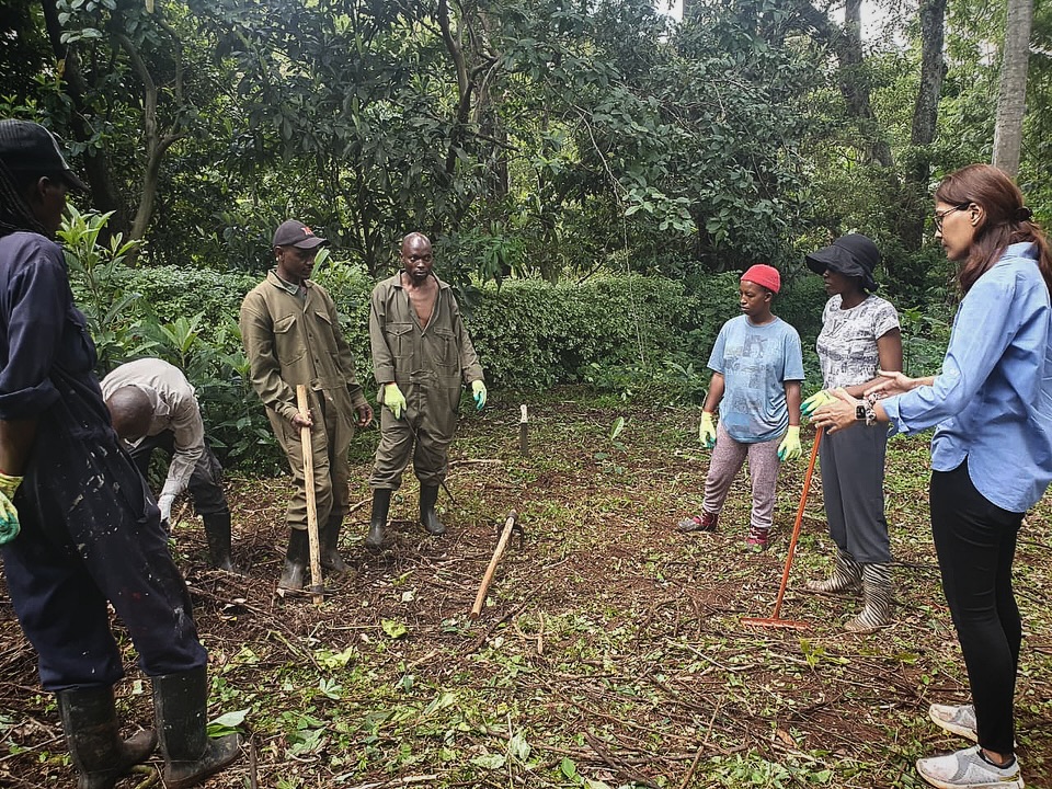 A powerful couple of weeks with @wajukuu_artists_collective, condensed into only four days of hands-on trainings, exploring permaculture design principles and core fundamentals for real impact on the ground.
In such a short time, there’s been a visible shift, not just in perspective, but in how the land is understood, used, and imagined. What we’ve worked on together is already beginning to reveal its potential, with function and purpose starting to take shape in a meaningful way. It’s going to be great seeing this work progress and their work take shape on their own land too 🙌🌿🌾🐝