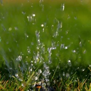 A significant advantage of a pop-up lawn irrigation system is its virtually invisible hardware. When the system operates, only the sprinkler heads are visible, resulting in a more visually appealing lawn or garden area.
thesprinklerco.com
856-931-0041
#TheSprinklerCompany #IrrigationSystem #SprinkerHeads