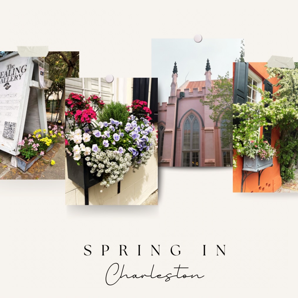 Can you believe all of these views are from our neighborhood? Come see for yourself after your next massage 🌸