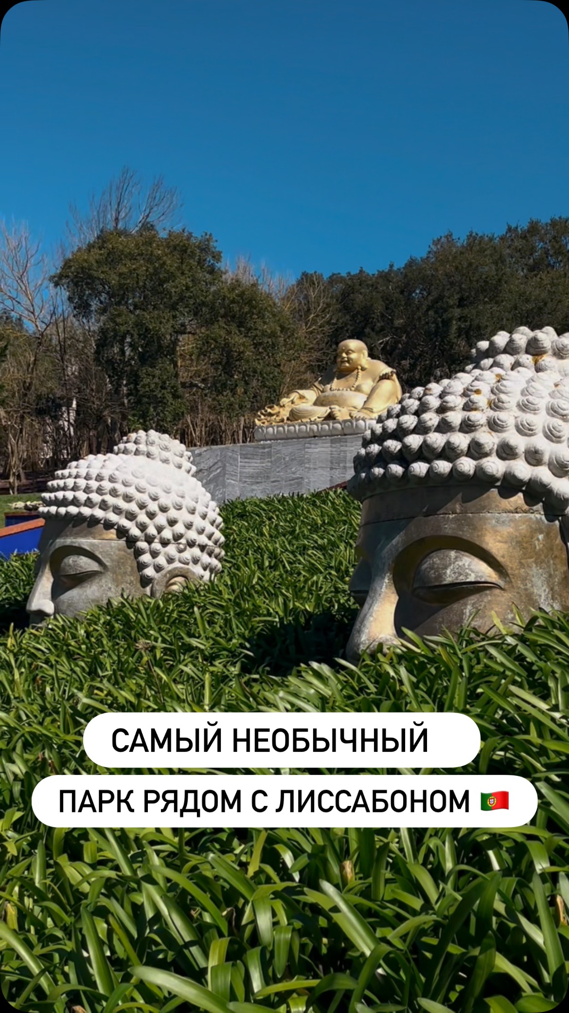 А вы знали что такое место есть в Португалии?
#лиссабон #португалия #буддаэденпарк #гидлиссабон #tourister_ru
