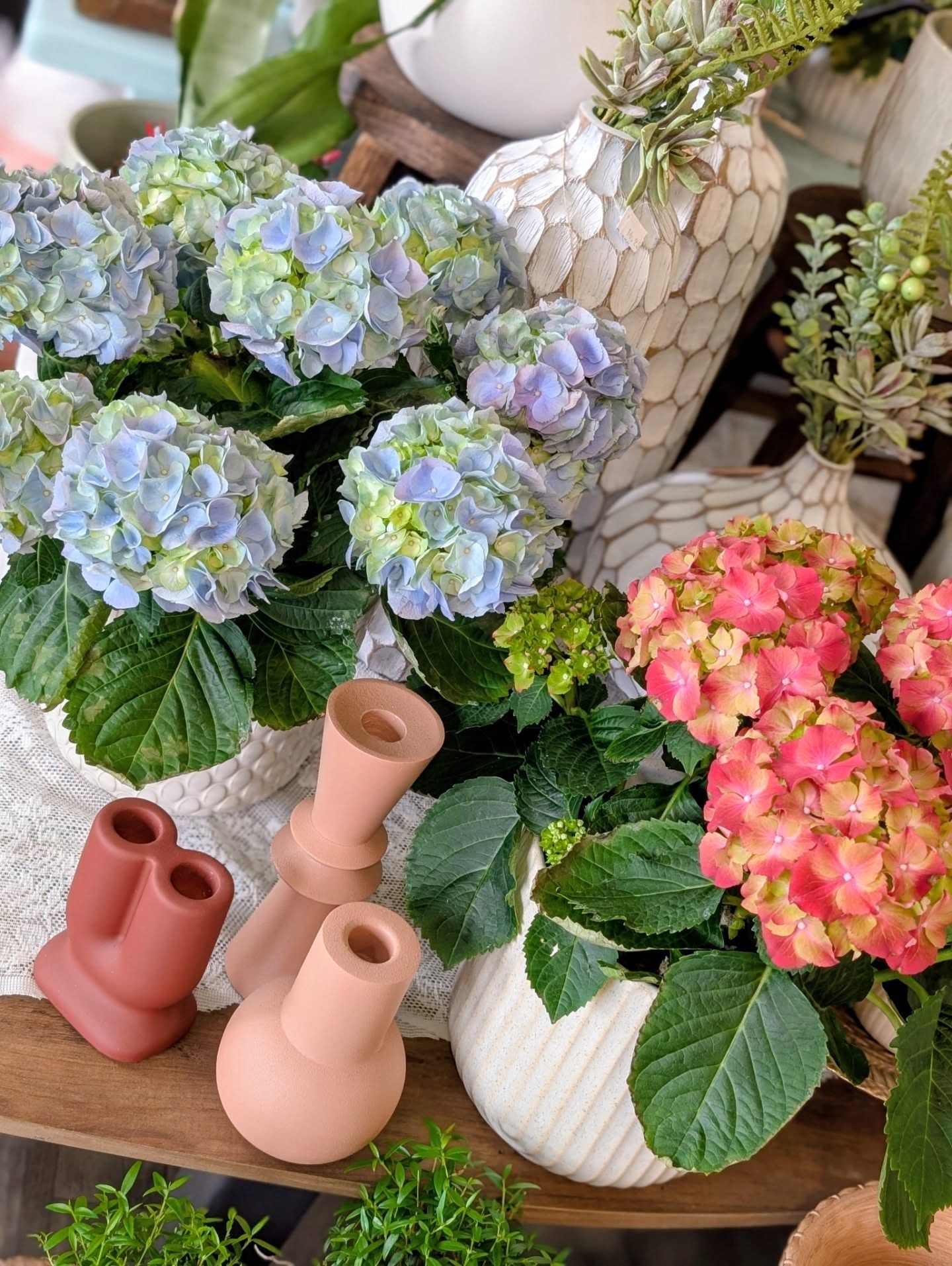 Easter weekend is almost here! 🌷🐰🐥
The shop is filled with lush house plants, stunning wall art & unique home decor and our cooler is full of beautiful arrangements. Come for a stroll, we would love to see you!
Friday - CLOSED
Saturday - 10:00-4:00
Sunday - CLOSED
Monday - CLOSED