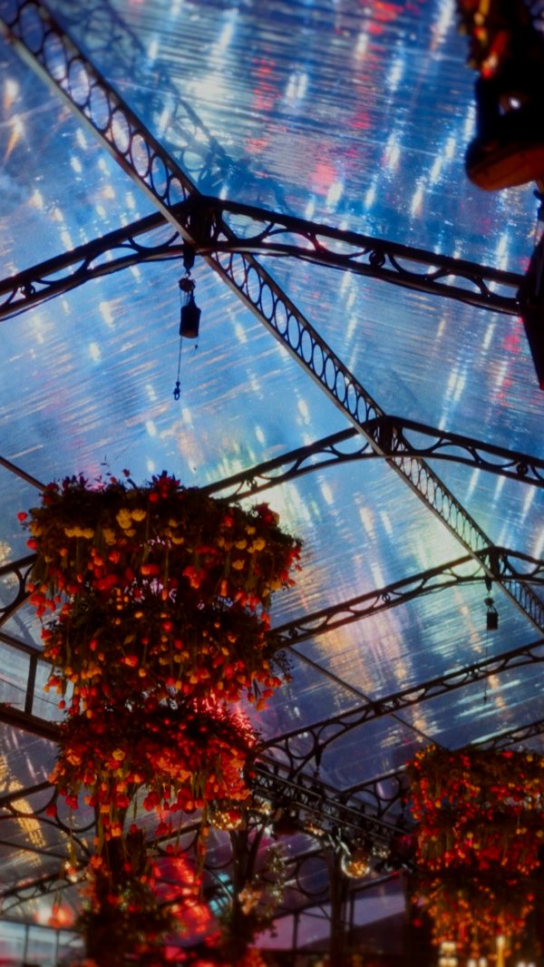 A Night Under the Stars at Grantley Hall
Another incredible night with over a million pounds raised for the Yorkshire Children's Charity. A brilliant evening of entertainment all in aid of a great cause.
@yorkshirechildrenscharity
@leafycouture
@grantleyhall_
@evallanceuk
@johnnyroxburgh
@johnnyroxburghdesigns
@sophie_eleanor_photography
@avmatrix
@englishmarqueecompany
@furnish_and_fettle
@jamesharefabric
@gabrielleuk
@wrighty_
@fleureast