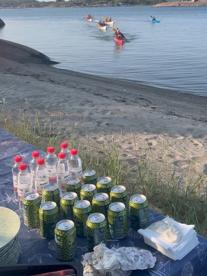 Paddla med jobbet på konferensen och äta gourmetmat på en egen ö- vi fixar! Boende med SPA? Vi rekommenderar @ tanumstrand i Grebbestad