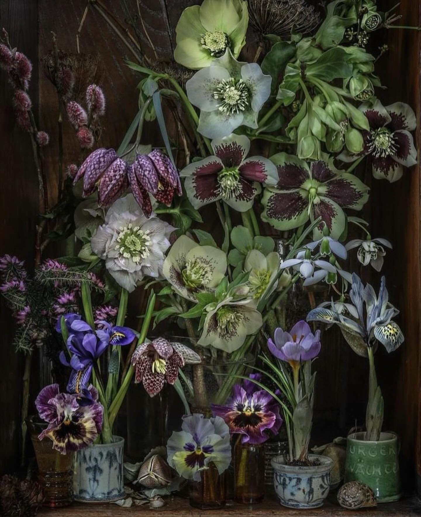 “Like other living things plants do have senses. Just like us (but in a slightly different way) plants can smell!”
🌱