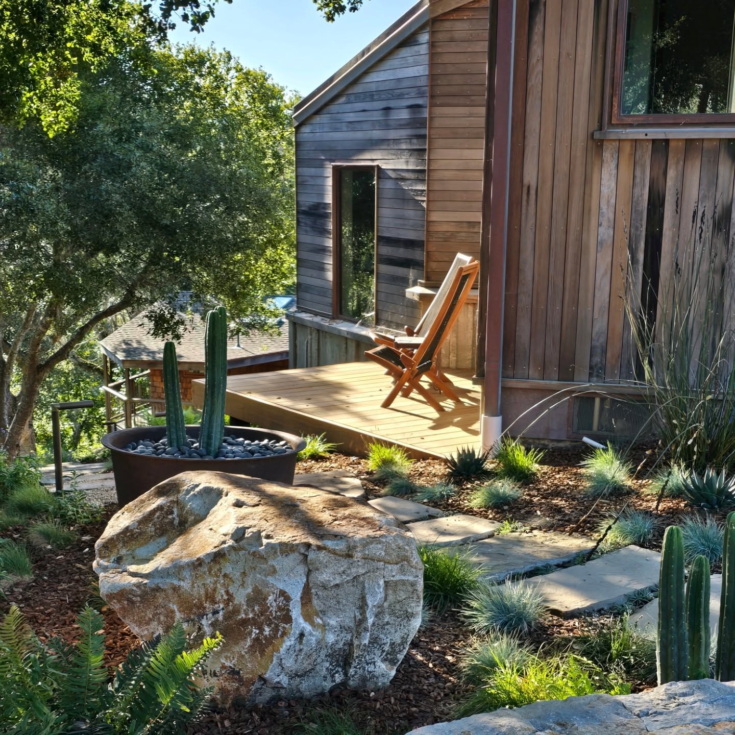 Morning sun- #BigSur
#CarmelPointLandscapes
#LandscapeDesignBuildandMaintain
#fullservice