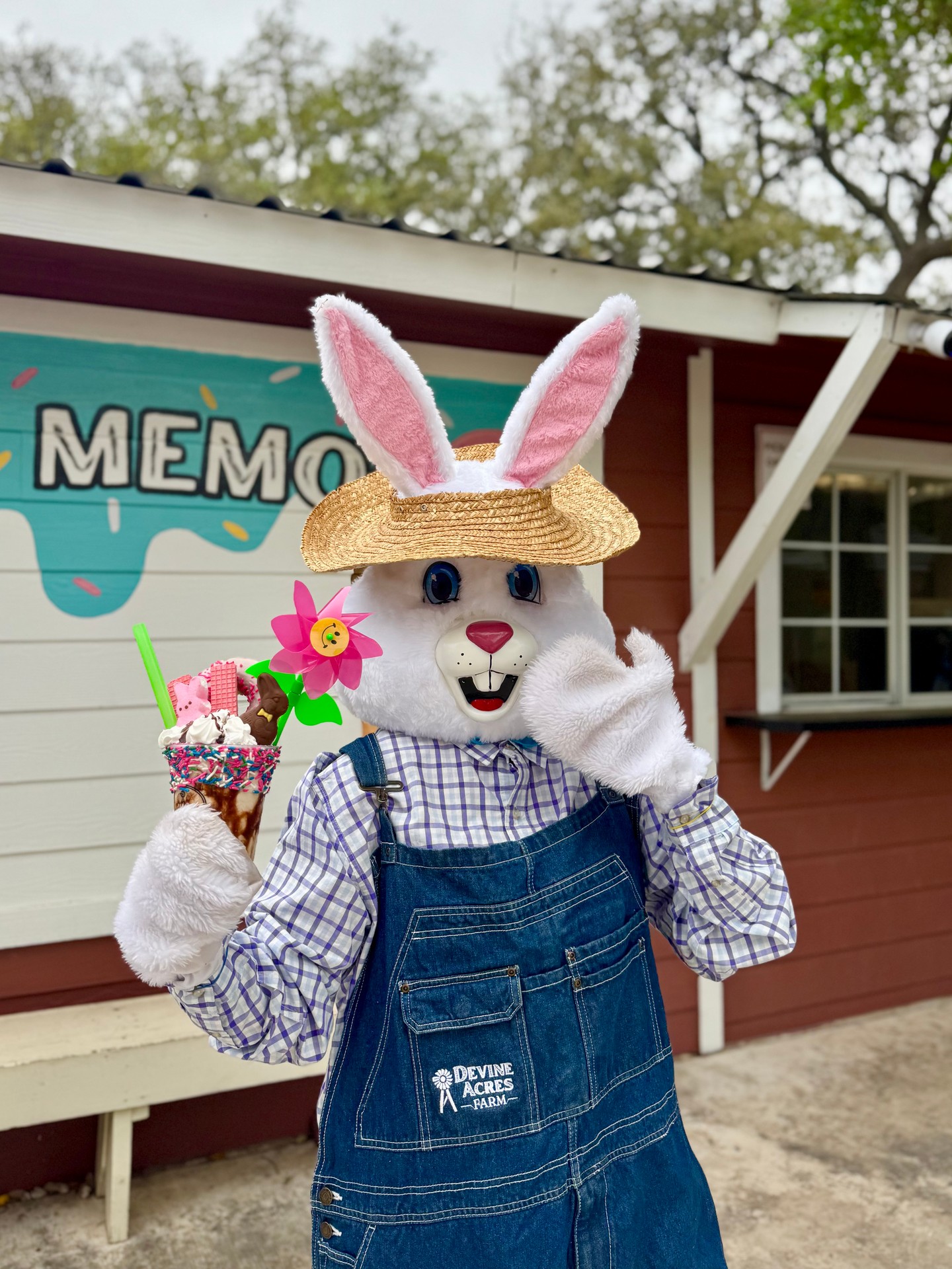Easter fun is HOPPIN' here on the farm! Open today and tomorrow, 10am - 5pm! 🐰
devineacresfarm.com