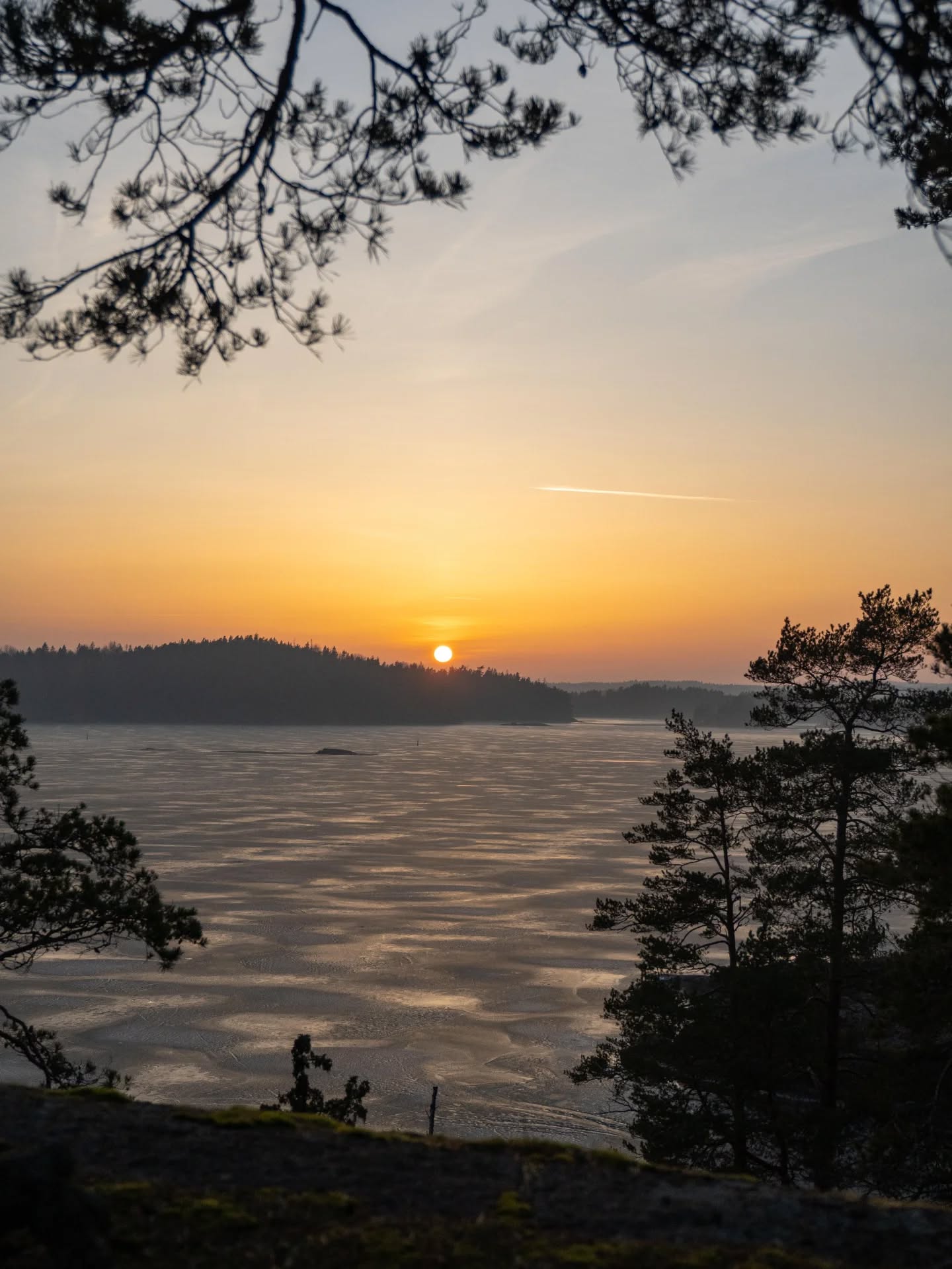 Tips från mars!
Platser:
📍Fluxfallet, Molla
📍Hedared stavkyrka
📍Kungsklyftan, Fjällbacka
📍Ramnaberget, Molla
📍Kleven, Gränna
📍Holkaberg Narbäck naturreservat, Gränna
📍Medevi Brunn, Motala
📍Rapenskår lövskogar, Skepplanda
Vandring:
🥾 Fjällastigen, 10km, Molla
🥾 Kråkeryd naturreservat, Ödeshög, 1,7km
Upplevelser:
- Utenatt med @marijaaurell vid Vätterns norra strand
- Utenatt med @tigerns.friluftsliv vid Fluxfallet
Bonus:
- Grillade mackor!
- UGC inspelning med @anna_blomsterberg med @everest_outdoor
Mer info om platserna hittar du i tidigare inlägg eller i min utflyktskarta. Länk finns i profilen.
#utflyktstips #utflyktskarta #vandringstips #roadtrip