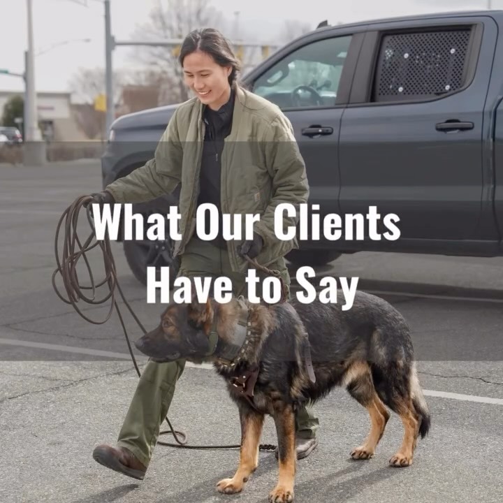 Want to know what others who have trained with us think? They love us! Thank you to everyone who writes us reviews, they are much appreciated.
#dogtrainer #dogtraining #clientreviews #dogsofinstagram