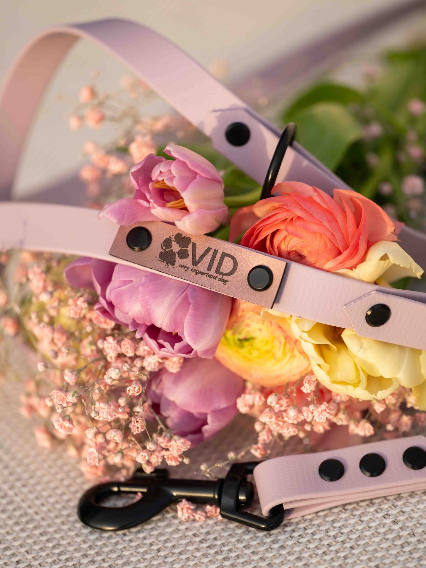 Dream Collection 💐💖
Unsere Dream Collection verzaubert mit vier sanften Pastelltönen, die Frühlingsfrische und Leichtigkeit ausstrahlen. Sanft und voller Lebensfreude fangen sie das Gefühl von Freude und Neuanfang ein. Diese Halsbänder sind mehr als ein Accessoire – sie sind ein Frühlingsgruss für stilbewusste Hundehalter und ihre treuen Gefährten.
Diese Führleinen und vieles mehr findest du jetzt auf veryimportantdog.ch 🐾
#veryimportantdog #vid #dogwear #handmade #biothane