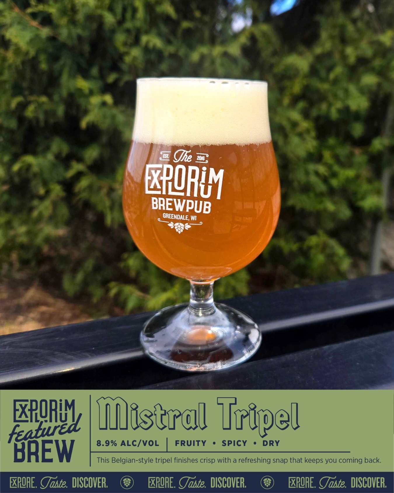 Meet the Mistral Triple. 🍺
A golden Belgian-style ale with expressive notes of citrus, stone fruit, and gentle spice—finishing dry and just a touch warming. Complex, refined, and crafted for those who like their beer with a little story behind it.
Now on tap at all brewpub locations!