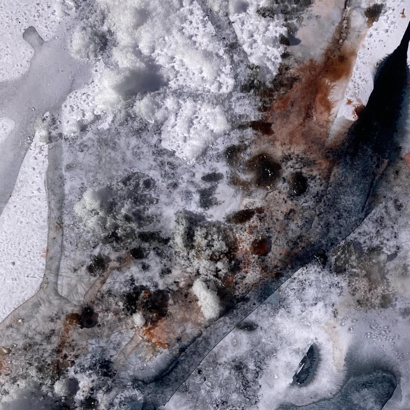 Details of last night’s escapade with ice and pigment. Left overnight , some interesting occurrences… #ink#snowandice#collaborativeart#chamonixmontblanc