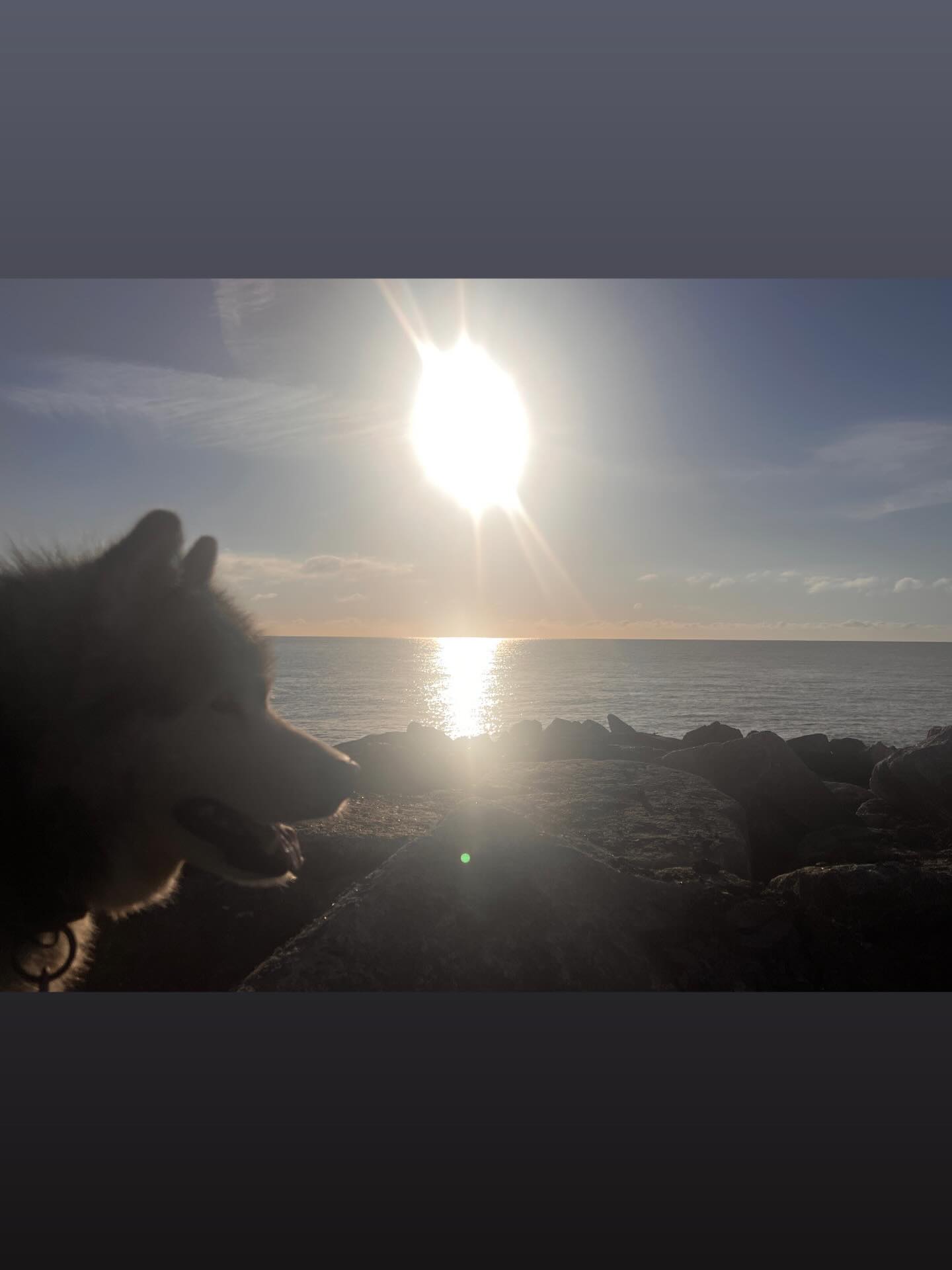 Someone else enjoying the sunny mornings!!