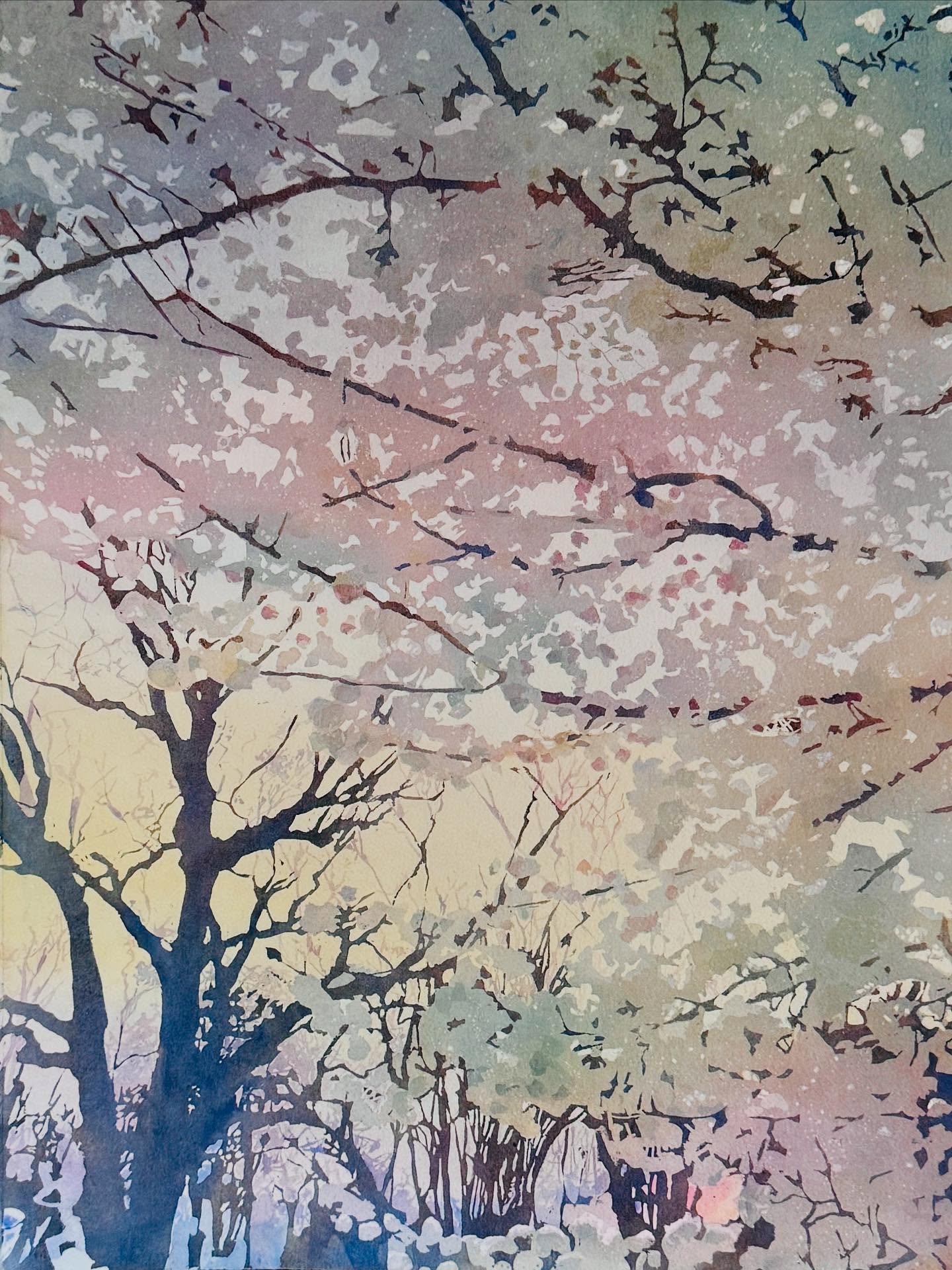 I’m tentative about posting a pic of this one as it’s a real shape shifter in the light and is in my opinion better seen with sun through the open door of my house hitting it. But I am because I felt damn good about finishing it and not having it go to the burn pile. It’s a full sheet so it would burn a little while.
This week was a hurdle for me and I desperately needed studio time but could find little space for it. When I did, I was with this. White blossoms beautifully backlit by a setting sun. A moment found on my camera and in my mind easily but a wallop of a challenge for my brain to paper. Big learn.