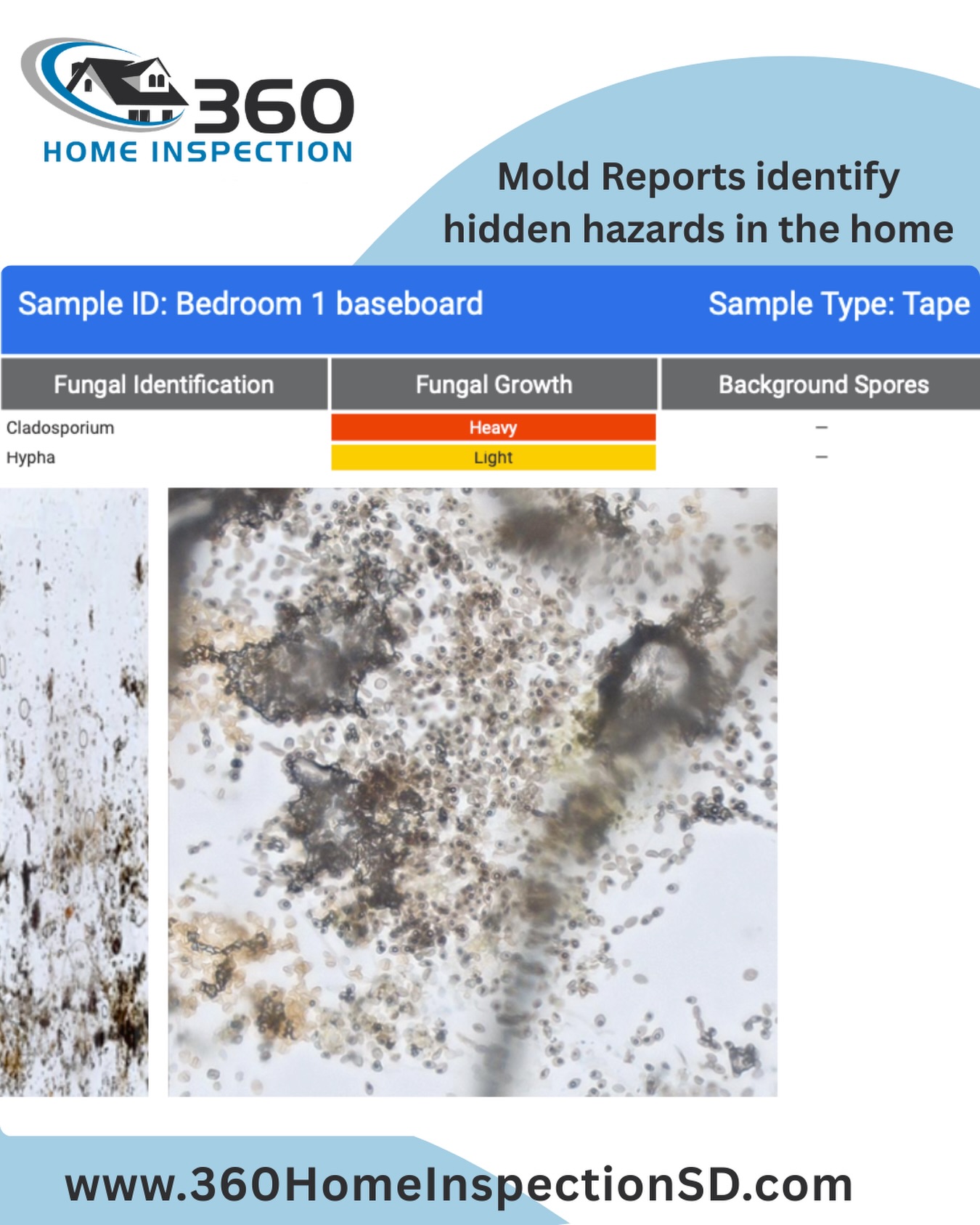 Find what’s hiding in your home or air #Inspection #moldinspection #home #airbornemold #homeinspector