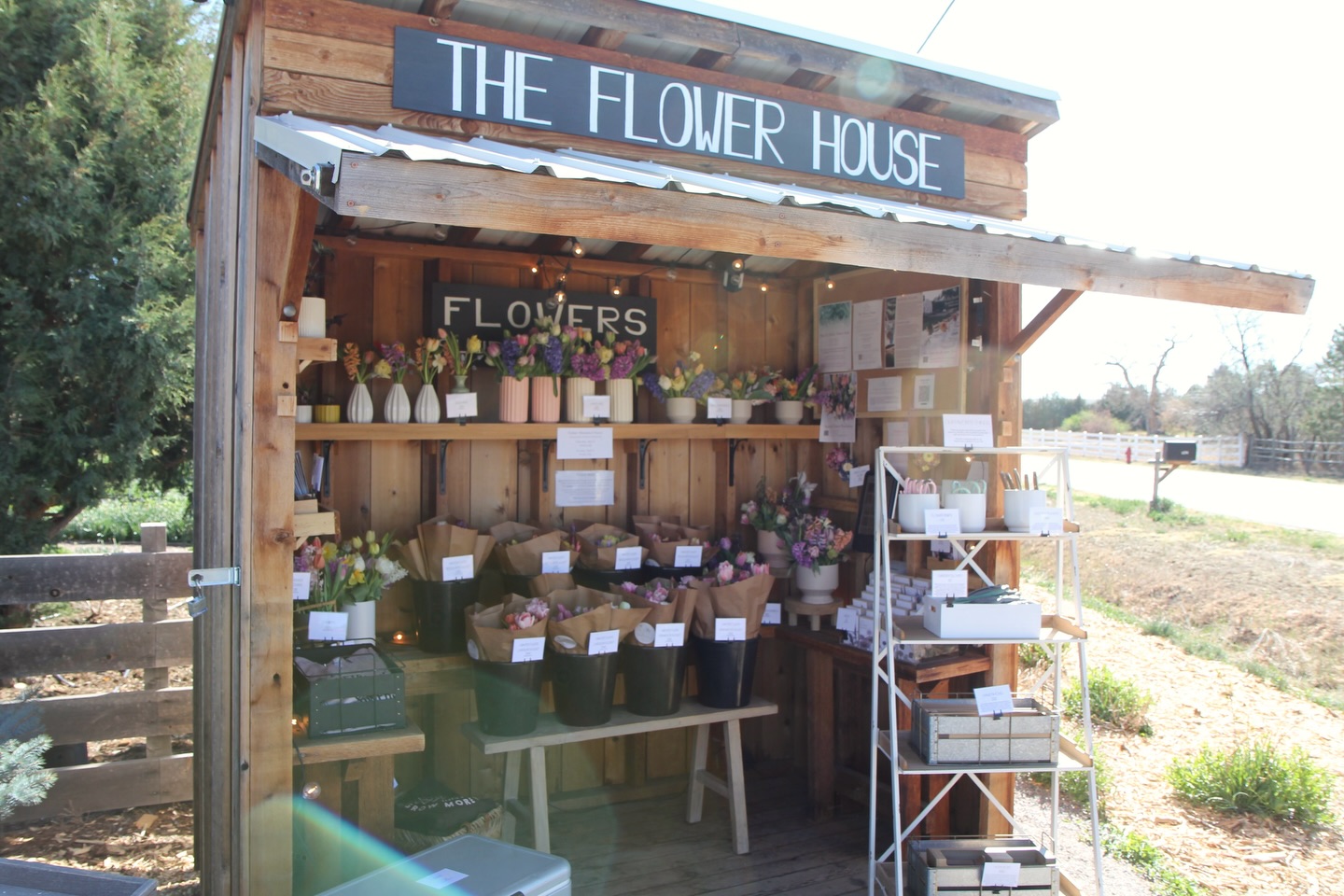 The Flower House is open and stocked with lots of beautiful spring flowers! Swing by today until 6 or tomorrow 10-2 to shop our beautiful vase arrangements made by @dragonflyfloralcompany, wrapped bouquets by @mollyslupikartanddesign and lots of other floral goodies!