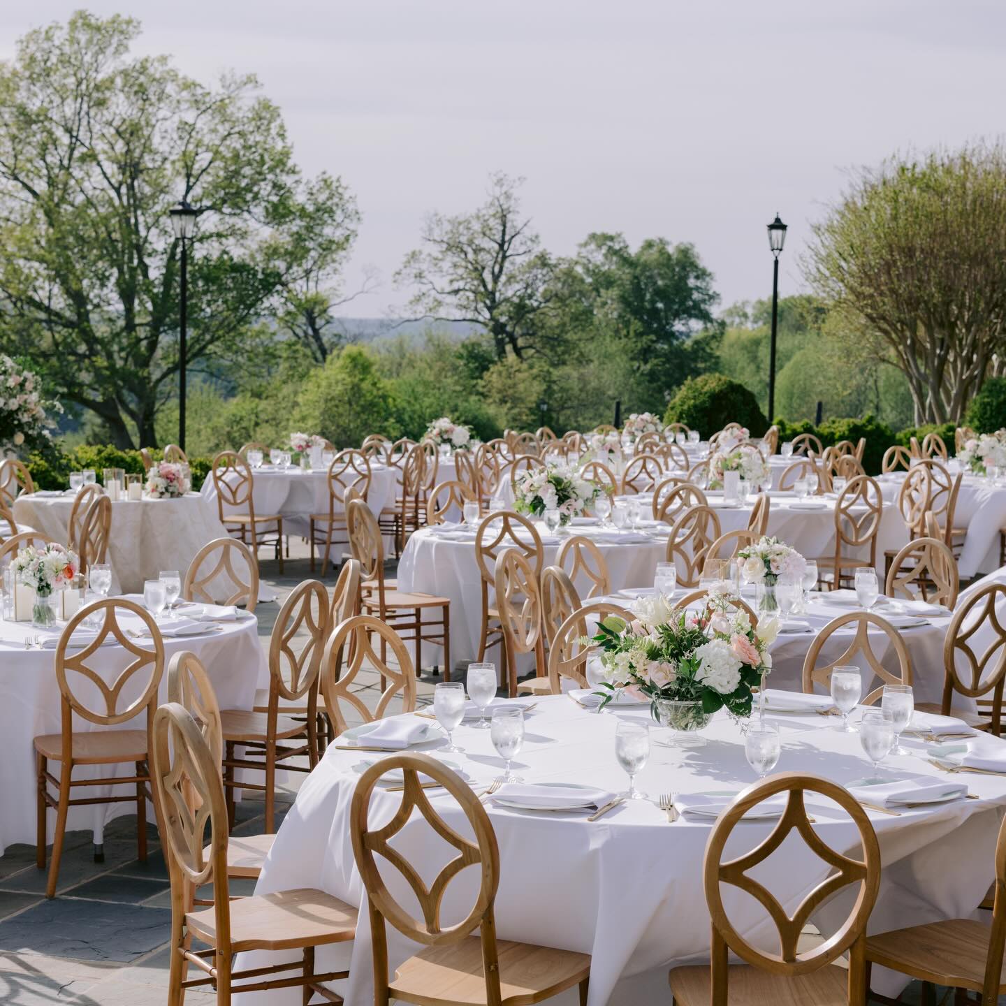 Dining Alfresco🌸✨🌙
#starrynighteventsrva #starrynighteventsplanner #starrynighteventsrvaflowers #starrynighteventsrvaweddings #starrynighteventsrvacouples
Planning & Florals | @starrynighteventsrva @tanya_m_cornwell
Photography | @reneejeanphotography
Videography | @itsjustinbayless
Venue | @estateatriverrun
Catering | @cater2events
Rentals | @rentequipva
Beauty | @theveilbridalco
Bride | @cammie_dare