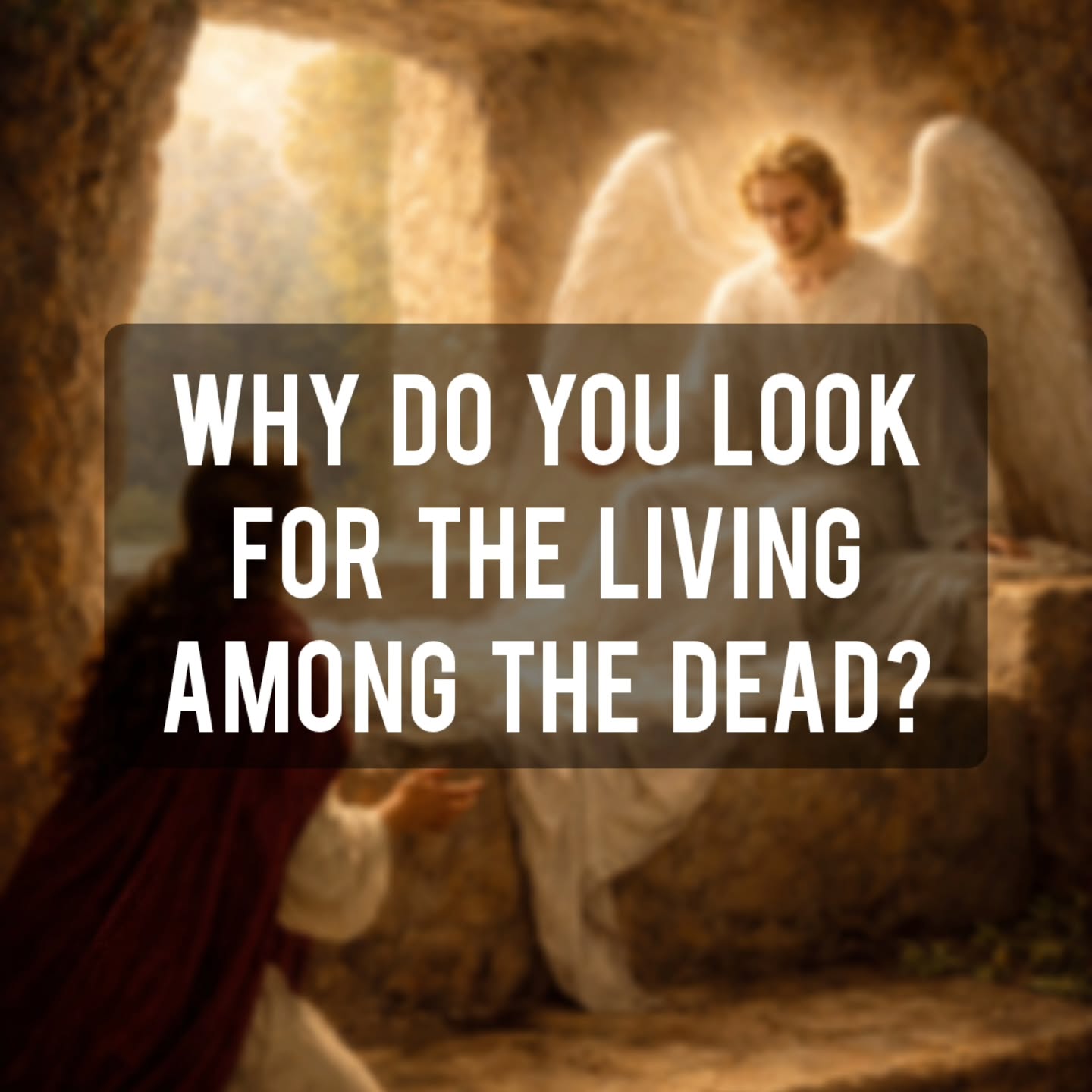 "Do you not know the Scriptures?"
•
Yesterday a visiting preacher pointed out that the disciples did not understand Christ's plan because of their lack of understanding of His Word. How much more are we guilty of the same? We have unlimited access to the Scriptures, saints, church fathers, historical lessons, creeds, confessions, catechisms and most of us know less of it than a child only 100 years ago.
•
Thank God He saved His children and has forgiven us for our failures and shortcomings. May we embrace the blessing of good works and store up His Word in out hearts.
•
5 And as they were frightened and bowed their faces to the ground, the men said to them, “Why do you seek the living among the dead? 6 He is not here, but has risen. Remember how he told you, while he was still in Galilee, 7 that the Son of Man must be delivered into the hands of sinful men and be crucified and on the third day rise.” Luke 24 ESV
•
Nōn nōbīs, Domine, nōn nōbīs, sed nōminī tuō dā glōriam.