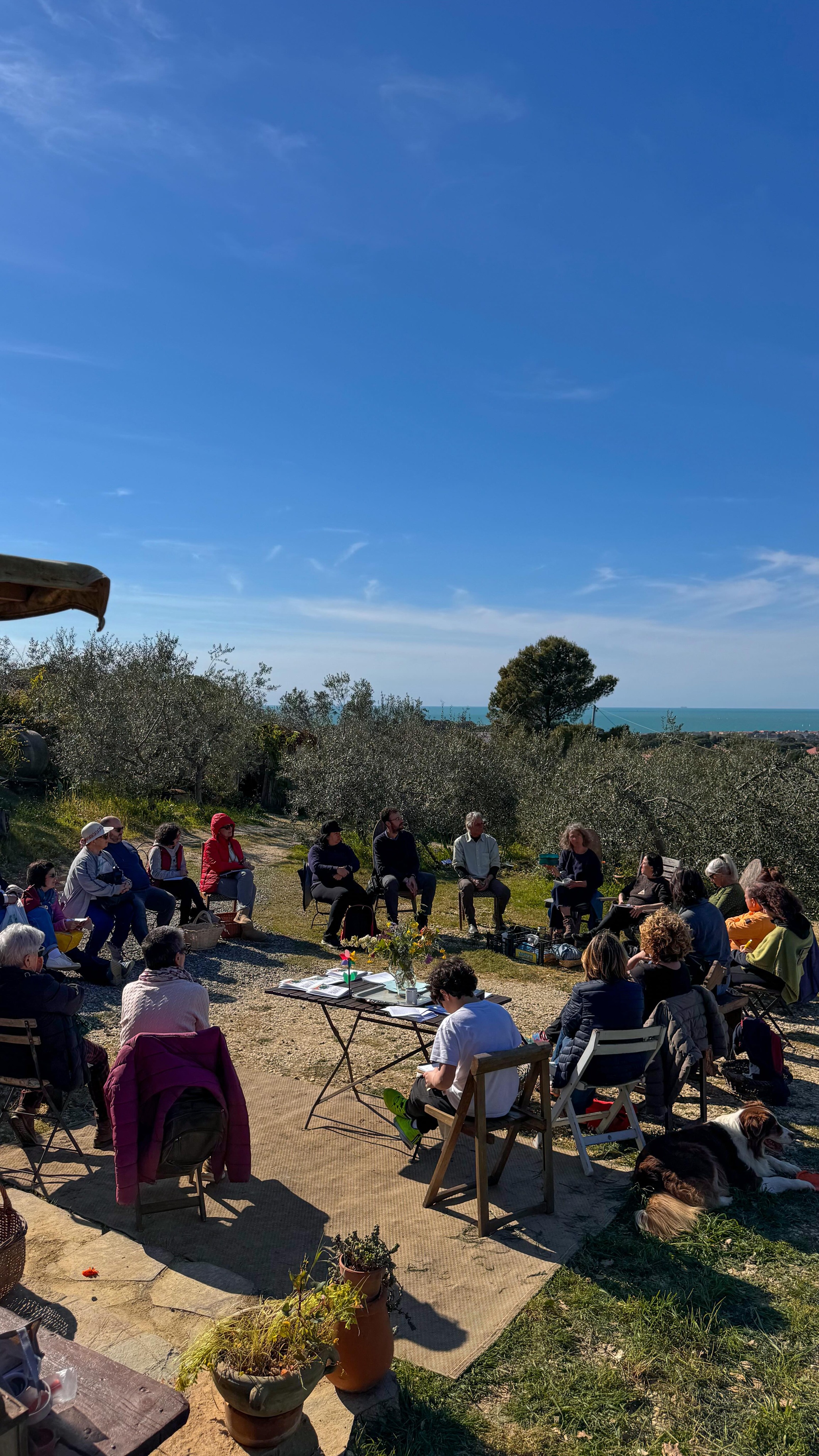 È stata una giornata indimenticabile ✨
Persone meravigliose, unite dalla voglia di imparare, condividere e stare insieme 🌿
Tra erbe spontanee, orto familiare, germogli e pane fatto in casa… le ore sono volate!
Il sole ci ha accompagnati e la tavola vegana, preparata con cura, è stata il cuore della giornata 🥖
Pane nordico e dolci spariti in un attimo… e tutta la fatica è stata ripagata dalla convivialità 💛
Un evento curato in ogni dettaglio, che già in tanti ci chiedono di ripetere… chissà 👀
Forse proprio perché non è scontato, resta ancora più speciale.
Grazie a tutti i partecipanti arrivati da tutta la Toscana 🙏
E grazie al mio team: Felice, Angelica e Stefano… senza di voi tutto questo non sarebbe possibile!
A presto 💫