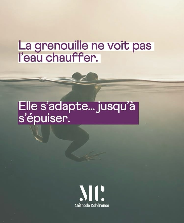 🐸 Vous connaissez la fable de grenouille? La grenouille ne voit pas l’eau chauffer. Elle s’adapte… jusqu’à s’épuiser.
Quant au burn-out, on ne le voit pas arriver. C’est rarement brutal.
C’est lent, invisible et insidieux.
Et quand on en arrive là, on n’a plus l’énergie de “s’en sortir seul”.
On est dans le brouillard. Et c’est précisément à cet endroit
que l’accompagnement devient essentiel.
Pour retrouver de la clarté, du sens, et un chemin.
Ne restez pas seul(e); faites vous accompagner pour “sauter” de la marmite avant que vous ne soyez trop épuisé(e).
#burnoutprevention
#epuisementprofessionnel
#santeautravail
#bienetreautravail
#chargementale