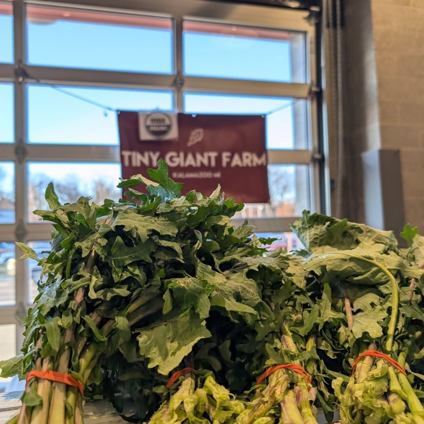 "Kale Yeah"!....it's Market morning, #Kalamazoo! Come on out to the @kalamazoofarmersmarket and grab some #superfresh spring greens. We'll be hanging out til 1.
